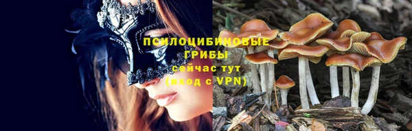 a pvp Нягань