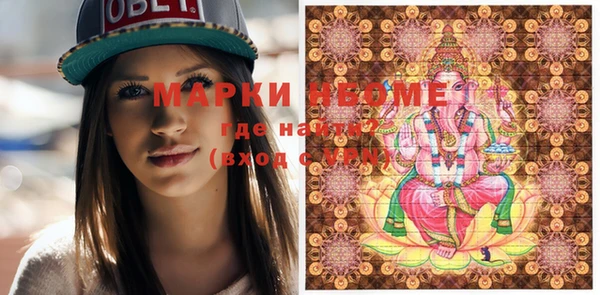 бошки Няндома